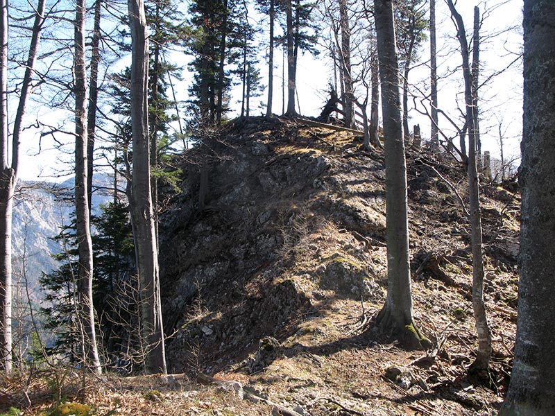 spielmannkogel